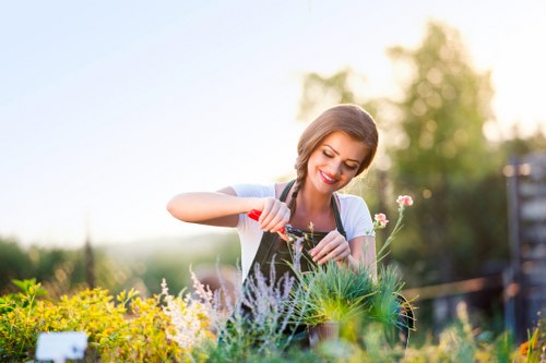 Expert team providing comprehensive lawn maintenance