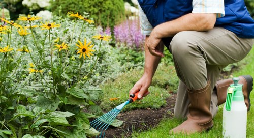 Electric lawn mower in a green backyard