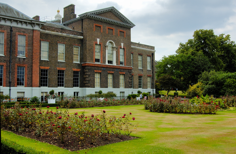 tree removal property