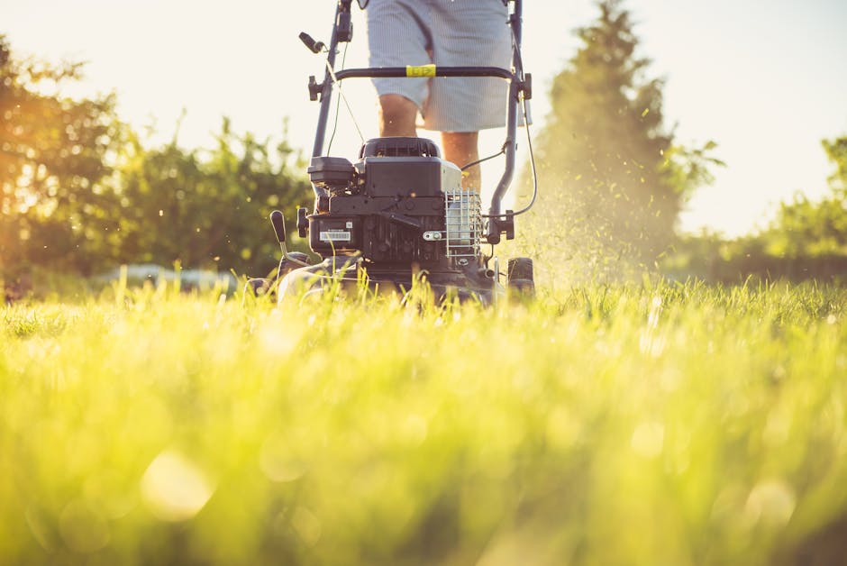 A person operating a lawnmower on a lush, green lawn during a sunny day, with the camera positioned close to the grass. The freshly cut grass is vibrant and slightly damp, creating a textured lawn sur